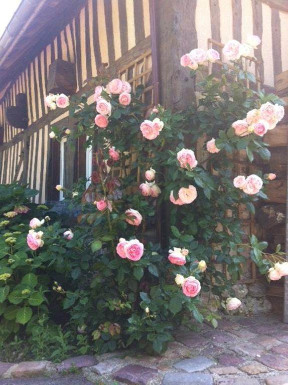 Bed and Breakfast A La Bergerie Honfleur Zewnętrze zdjęcie